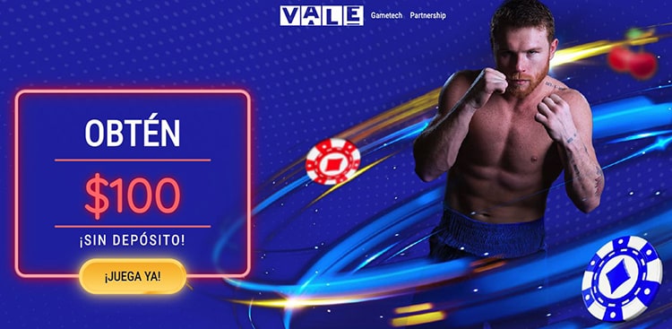 Casino Vale, oyuncularına 7/24 canlı destek sunar
